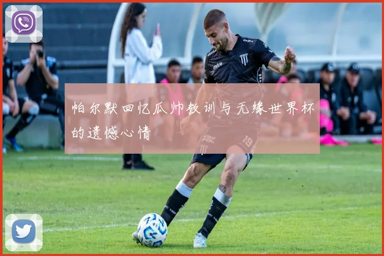 帕尔默回忆瓜帅教训与无缘世界杯的遗憾心情